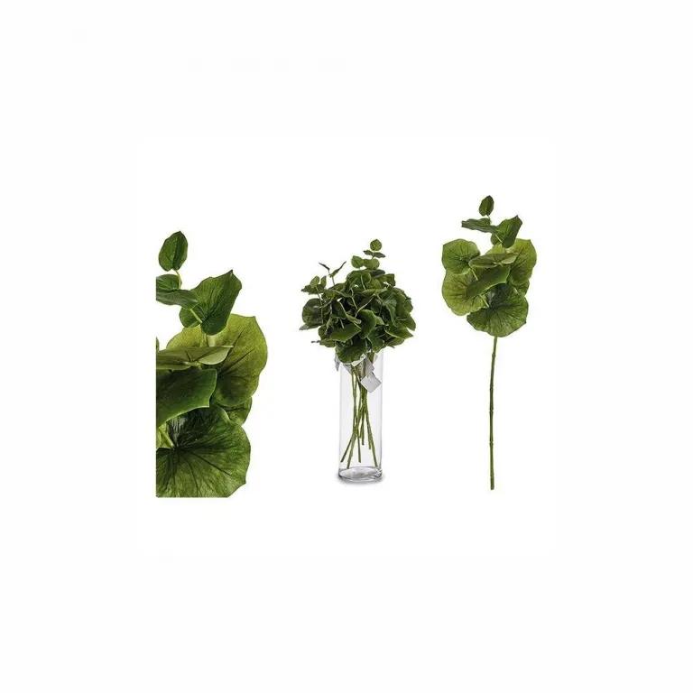 Dekorationspflanze Bettlaken Kunststoff (75 cm)