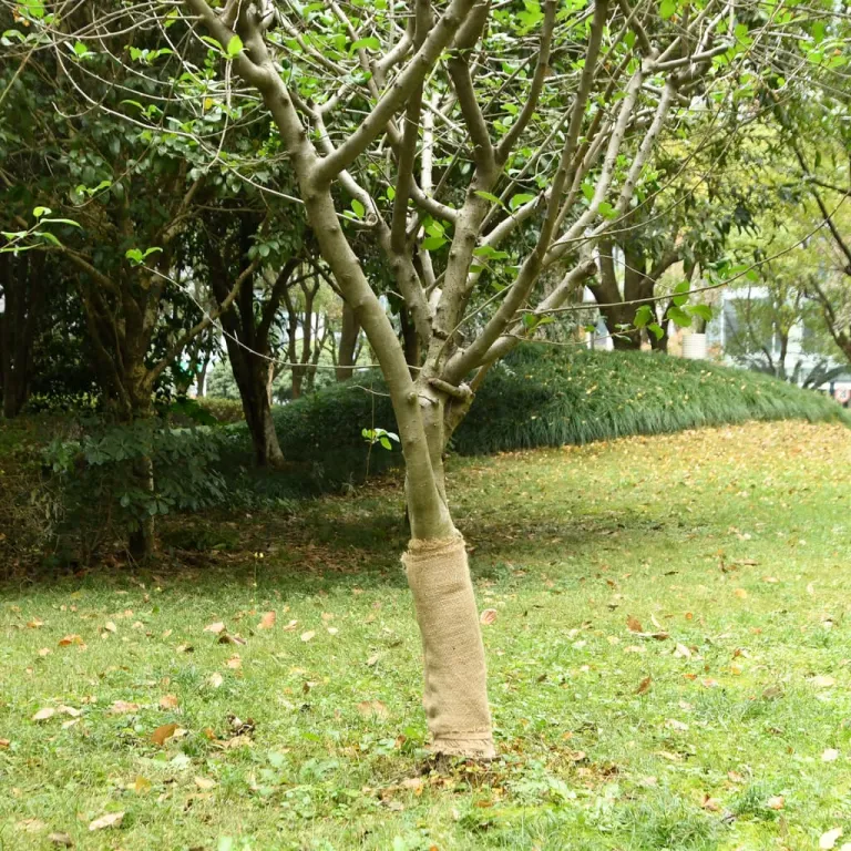 Jutegewebe 0,5x50 m 100% Jute 200 g/m Baumschutz Pflanzenschutz