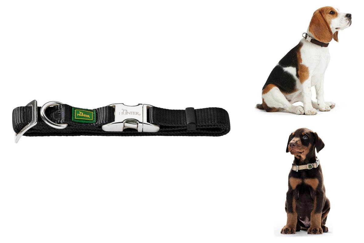 Hunter Hundehalsband Alu-Strong Schwarz Größe S 30-45 Cm Hund An Der Leine